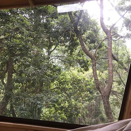 Cabanas Bosques De Loncotraro Hotell Villarrica Exteriör bild