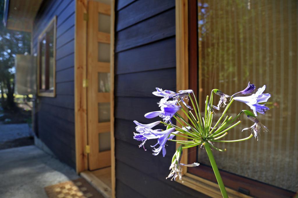Cabanas Bosques De Loncotraro Hotell Villarrica Exteriör bild