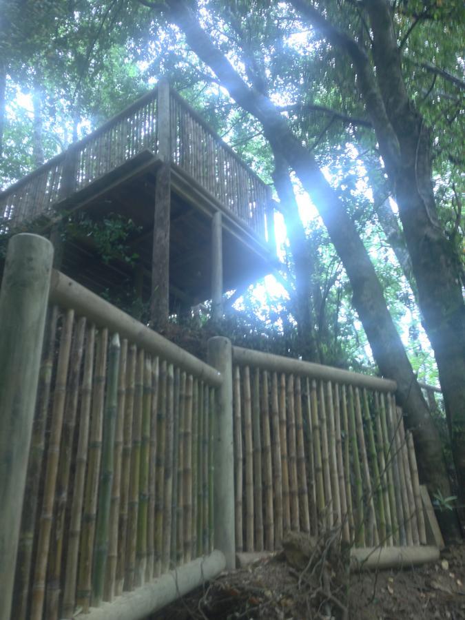 Cabanas Bosques De Loncotraro Hotell Villarrica Exteriör bild
