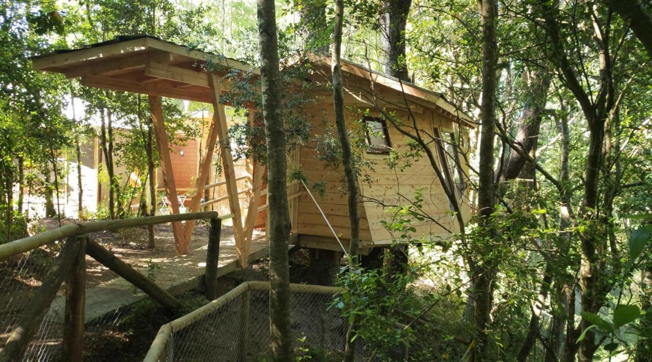 Cabanas Bosques De Loncotraro Hotell Villarrica Exteriör bild
