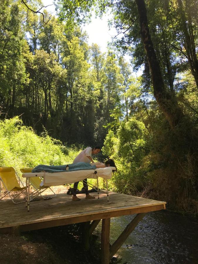 Cabanas Bosques De Loncotraro Hotell Villarrica Exteriör bild