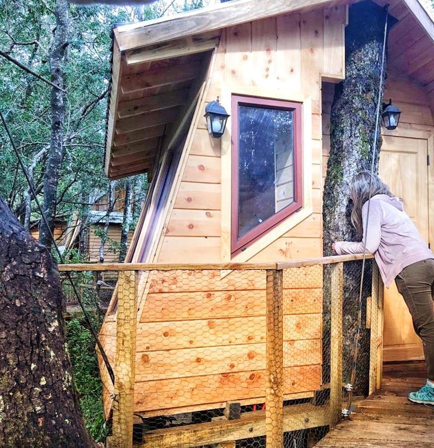 Cabanas Bosques De Loncotraro Hotell Villarrica Exteriör bild