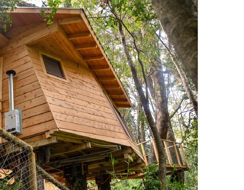 Cabanas Bosques De Loncotraro Hotell Villarrica Exteriör bild