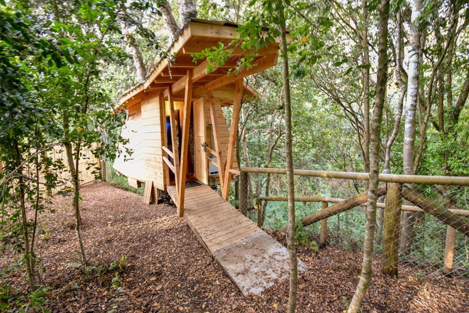 Cabanas Bosques De Loncotraro Hotell Villarrica Exteriör bild