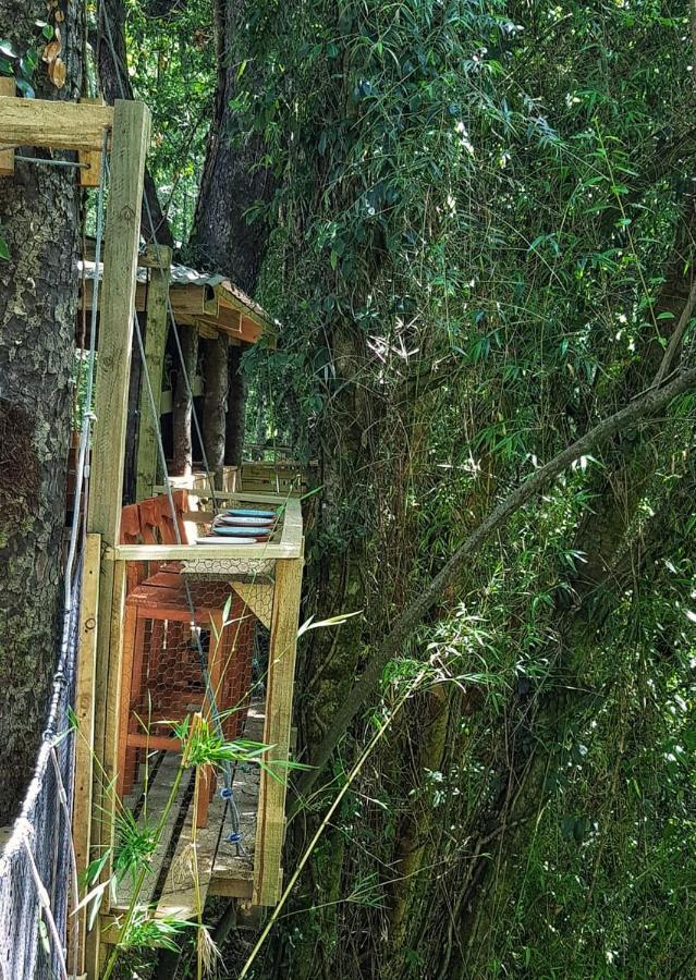 Cabanas Bosques De Loncotraro Hotell Villarrica Exteriör bild