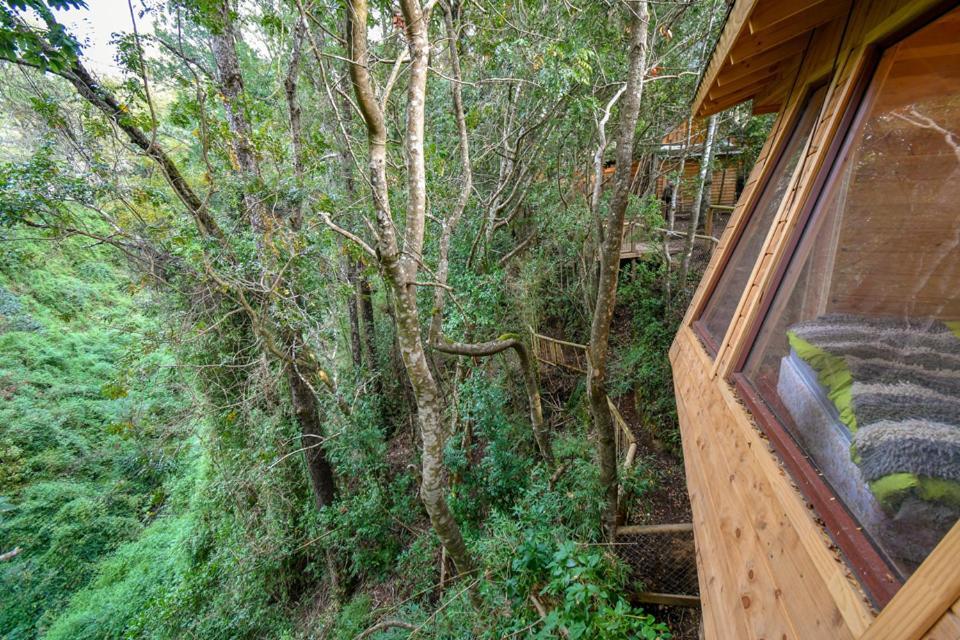 Cabanas Bosques De Loncotraro Hotell Villarrica Exteriör bild