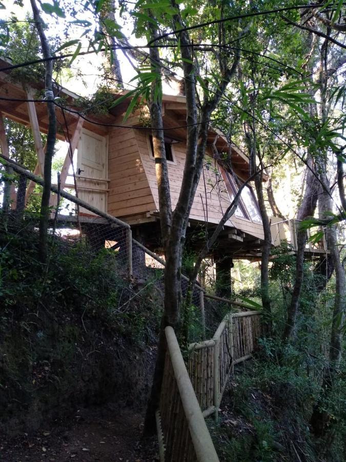 Cabanas Bosques De Loncotraro Hotell Villarrica Exteriör bild